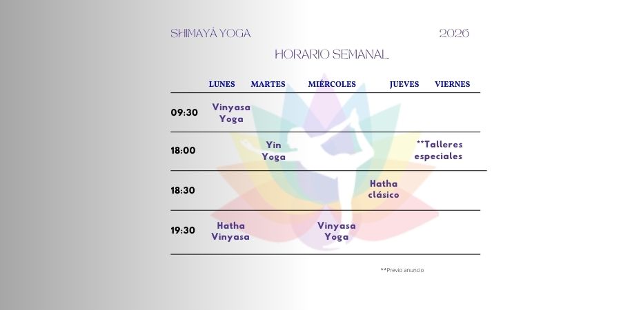 HORARIOS STUDIO (900 x 450 px) (1)